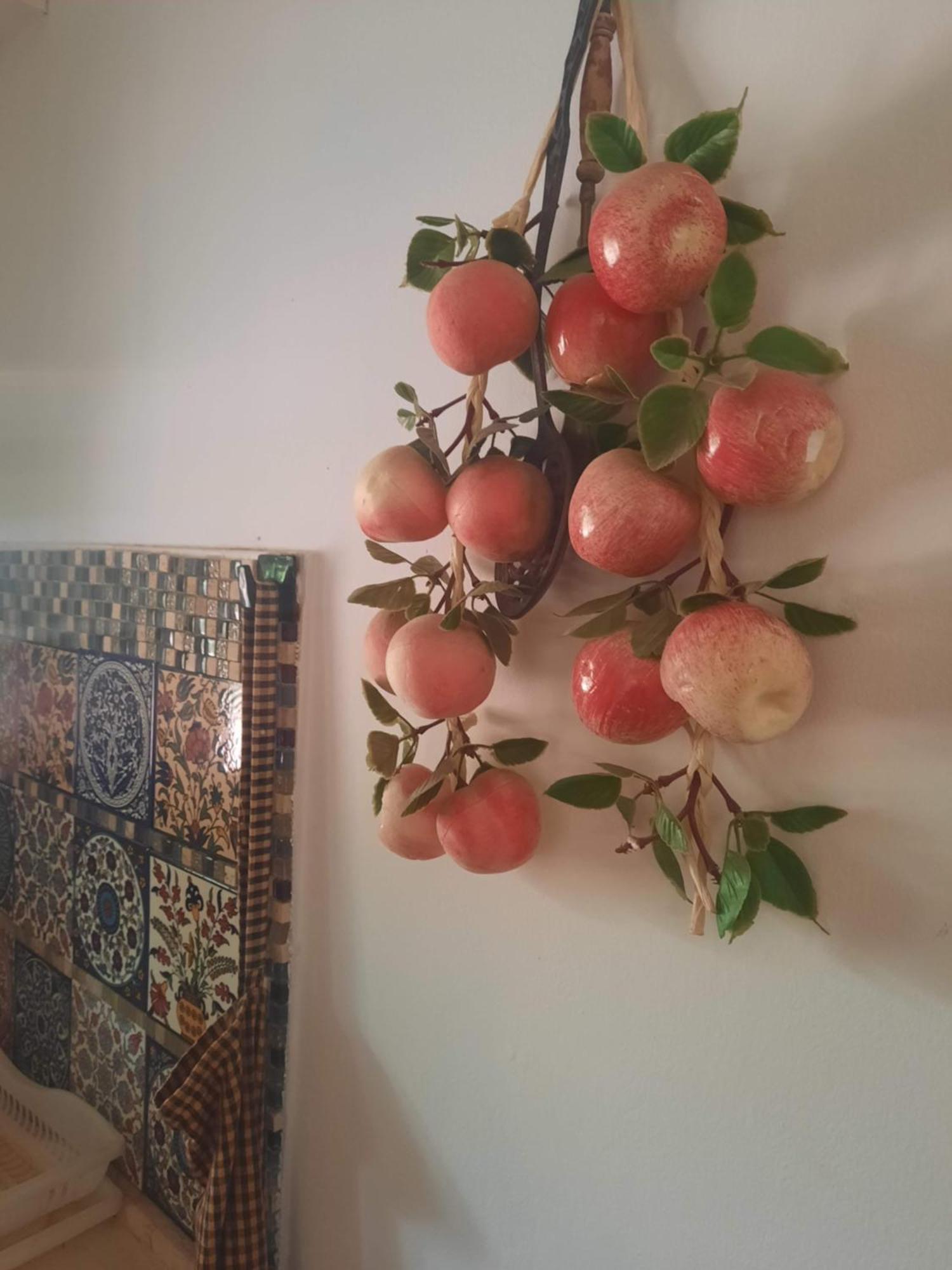 הבית הירוק - Green House أراد المظهر الخارجي الصورة